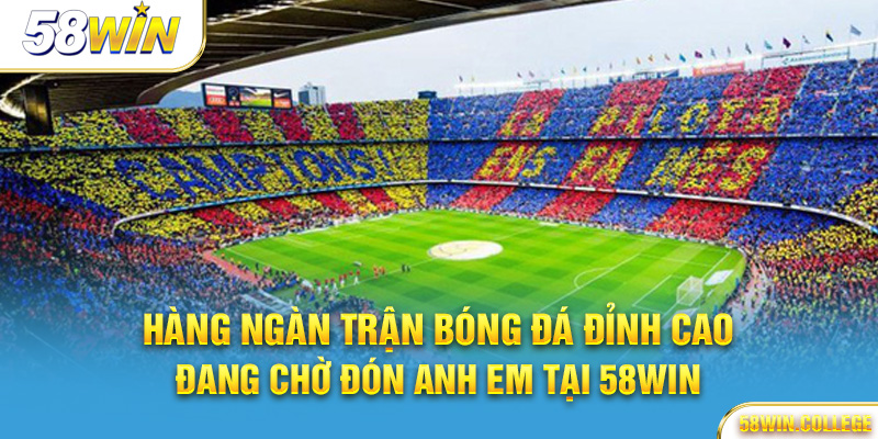 Cá cược bóng đá Thể thao 58Win